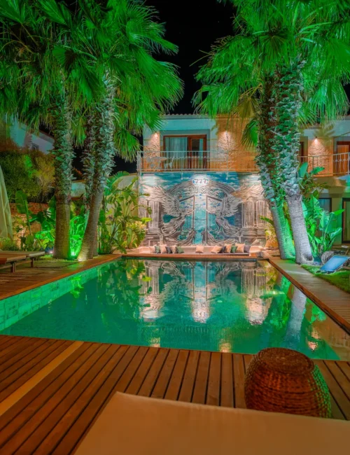 Huzur, Begonvil ve Siz.